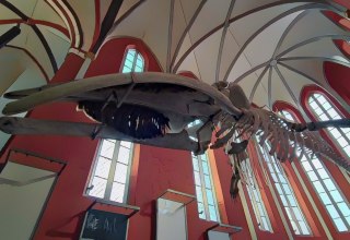 © (c) Ingenieurkammer Mecklenburg-Vorpommen © (c) Ingenieurkammer Mecklenburg-Vorpommen