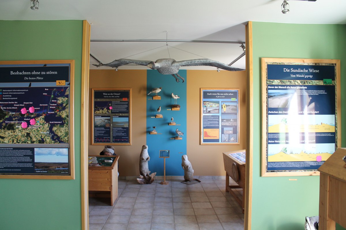 © Nationalparkamt Vorpommern © Nationalparkamt Vorpommern