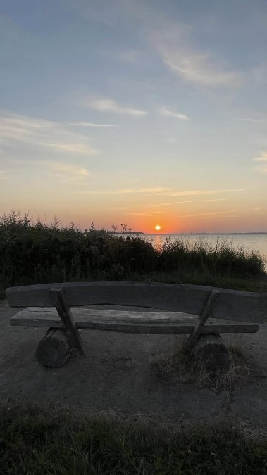 Boddenstrand, &copy; TZ S&uuml;dliche Boddenk&uuml;ste