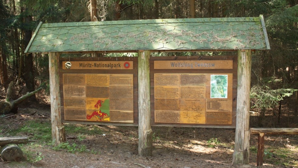 Informacje na temat życia wilka w regionie, © Mecklenburgische Kleinseenplatte Touristik GmbH Informacje na temat życia wilka w regionie, © Mecklenburgische Kleinseenplatte Touristik GmbH