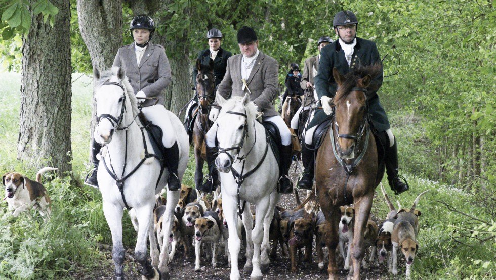 Drag hunting with the Mecklenburg pack, &copy; Mecklenburger Meute/ Martina Rodenberg