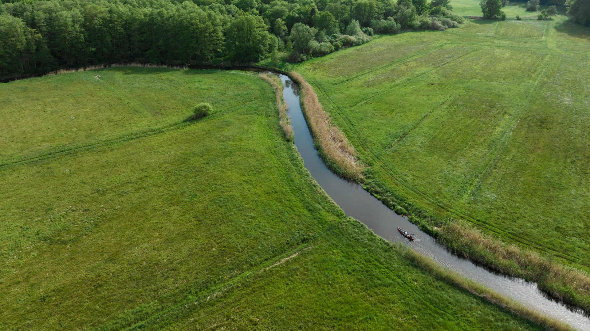 Meadows and forests as far as the eye can see surround the banks of the Warnow, which flows over 150 kilometers across Mecklenburg-Vorpommern., © TMV/Gross The Warnow between meadows and an aerial canoe paddling along the river