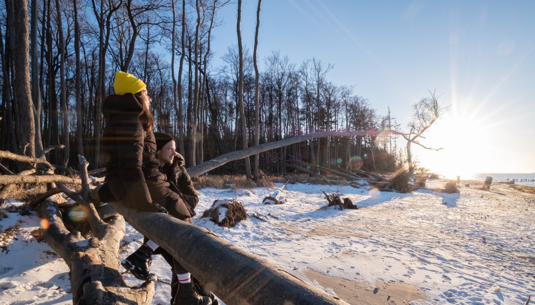 Two people sit on a fallen tree on the wintry beach of Torfbr&uuml;cke and gaze into the low sun over the Baltic Sea.
