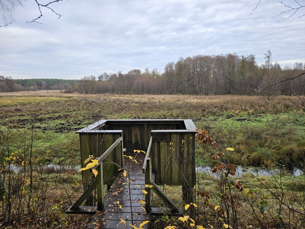 20251112_113848, &copy; NPA M&uuml;ritz