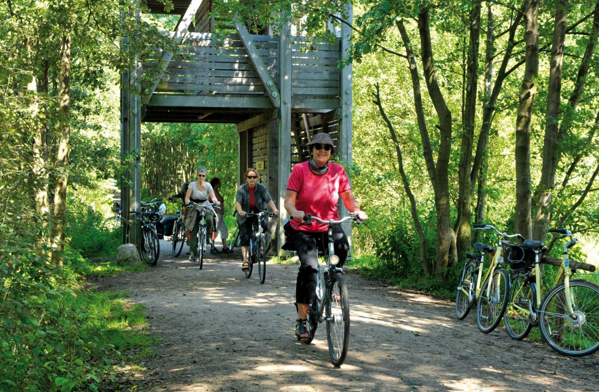 Nationaal Park Mueritz_Rad_KK, &copy; Waren (M&uuml;ritz) Kur- und Tourismus GmbH