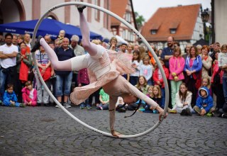 &copy; Grossmarkt Rostock GmbH