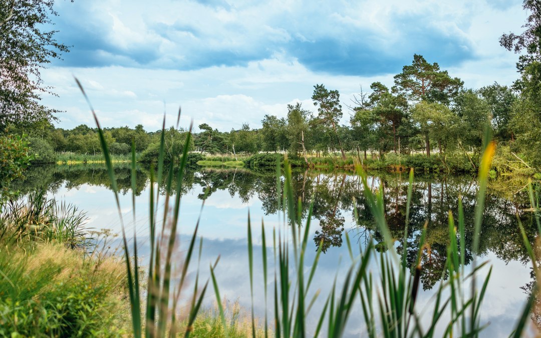 Moorwandeling, © Moorwanderung_kl.jpg