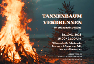 &copy; SIC Stralsunder Innovation Consult