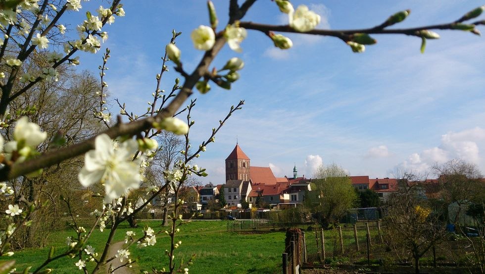 Zicht op de stadskerk van Sint-Petrus en Paulus, © Jana Koch