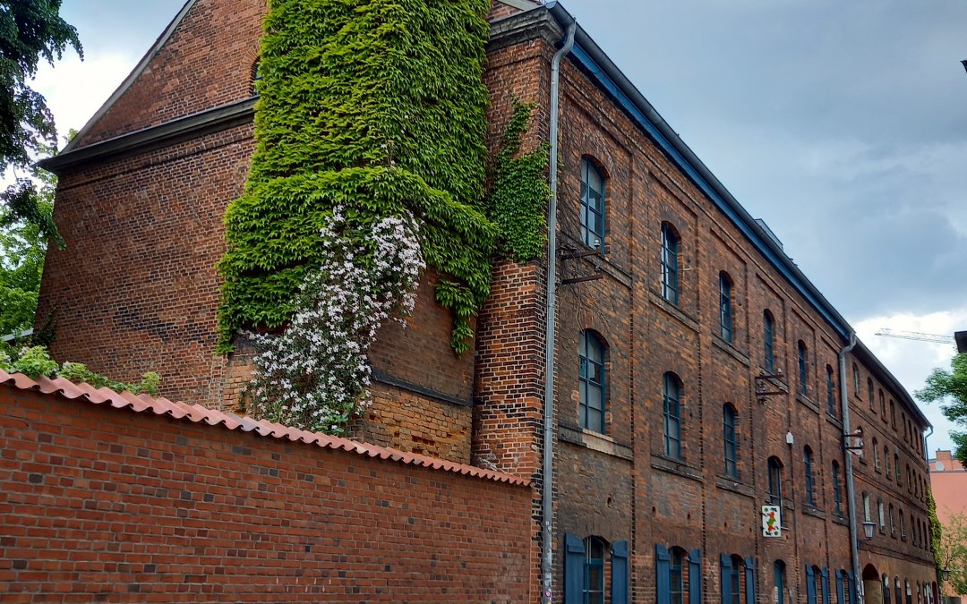 SPEICHER_Huis voor: Cultuur, © SPEICHER