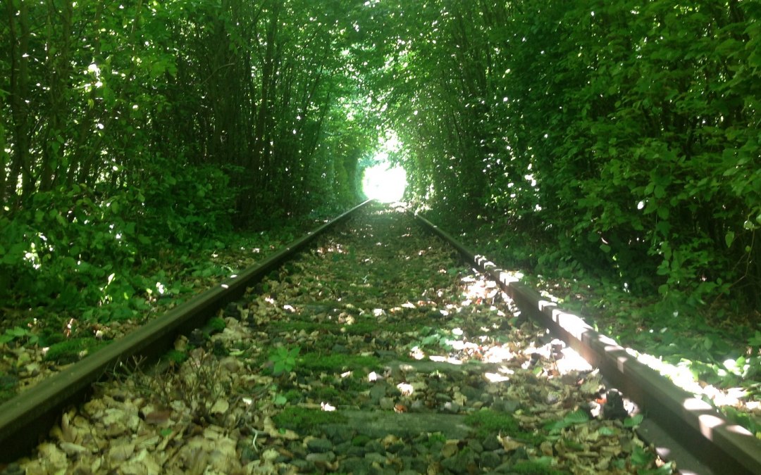 Entry into the approx. 1km long book tunnel, © Naturpark Draisine Dargun