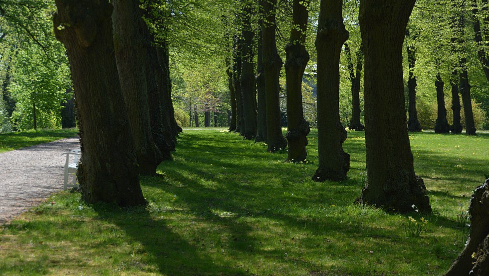 Hippodrome - historic riding arena in the palace gardens, © Tourismusverband Mecklenburg-Schwerin