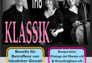 &copy; Benefizkonzert im Grundtvighaus