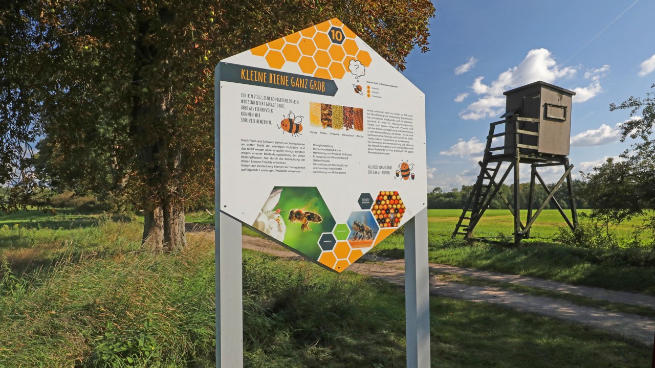 Bijen natuurpad in Land Fleesensee_5, &copy; TMV/Gohlke