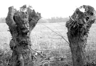 © Uwe Kurzbein © Uwe Kurzbein