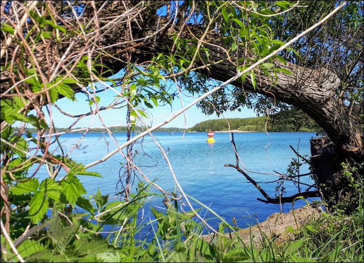 The Schwerin inner lake // &copy; adfc-Schwerin