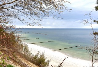 &copy; 20210506_151112.jpg