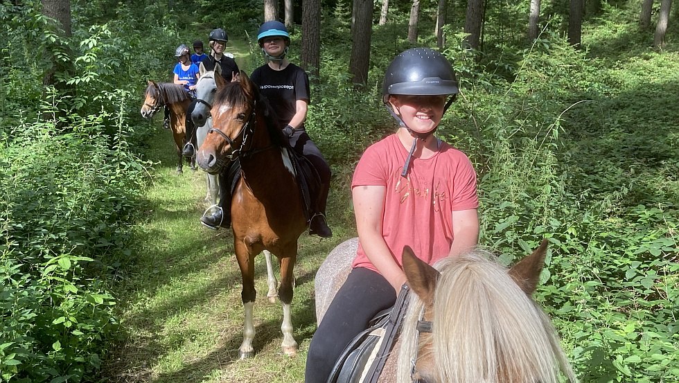 Ritten op onze eigen ruiterpaden in het bos en op de velden, © Alte Schule Barlin
