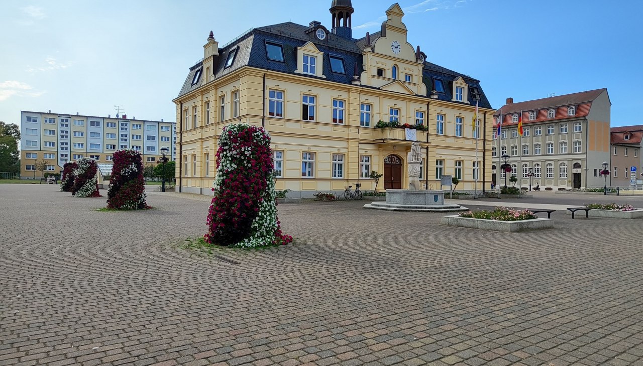 Uitzicht op het marktplein, &copy; Hansestadt Demmin