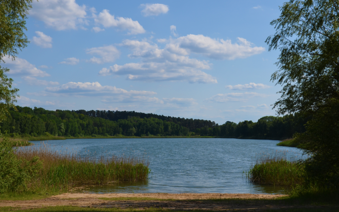 Lake Cantnitz bathing area north shore 1, © Martin Möller