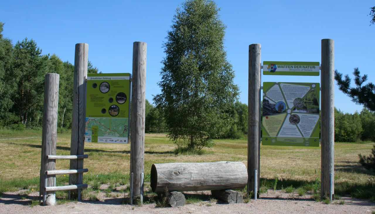 Biodiversiteitsontdekkingspad op de Rostocker Heide, © Stadtforstamt Rostock/K. Kuhr