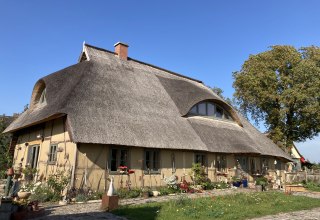 &copy; Ilona Glaser-Taube