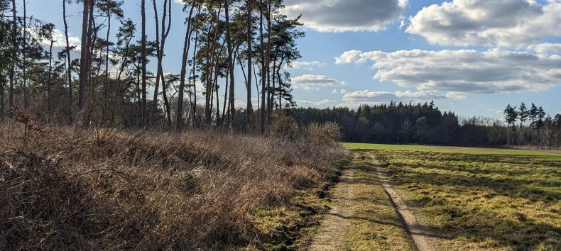 Streckenabschnitt an den Peenewiesen // &copy; Vincent-Gregor Schulze