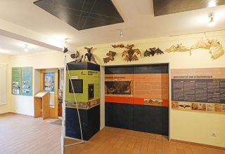 © TMV/Gohlke © TMV/Gohlke