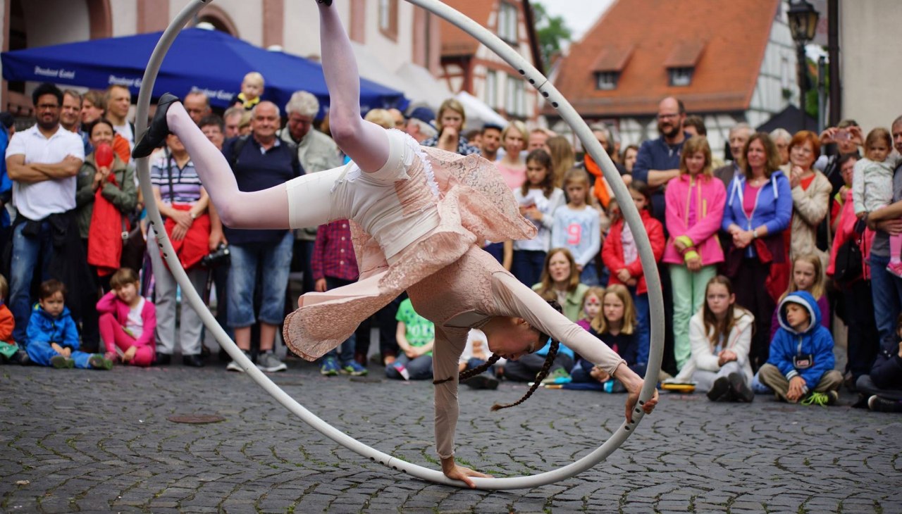 13412058_10209425252971050_1985628783902988764_o copia, &copy; Grossmarkt Rostock GmbH