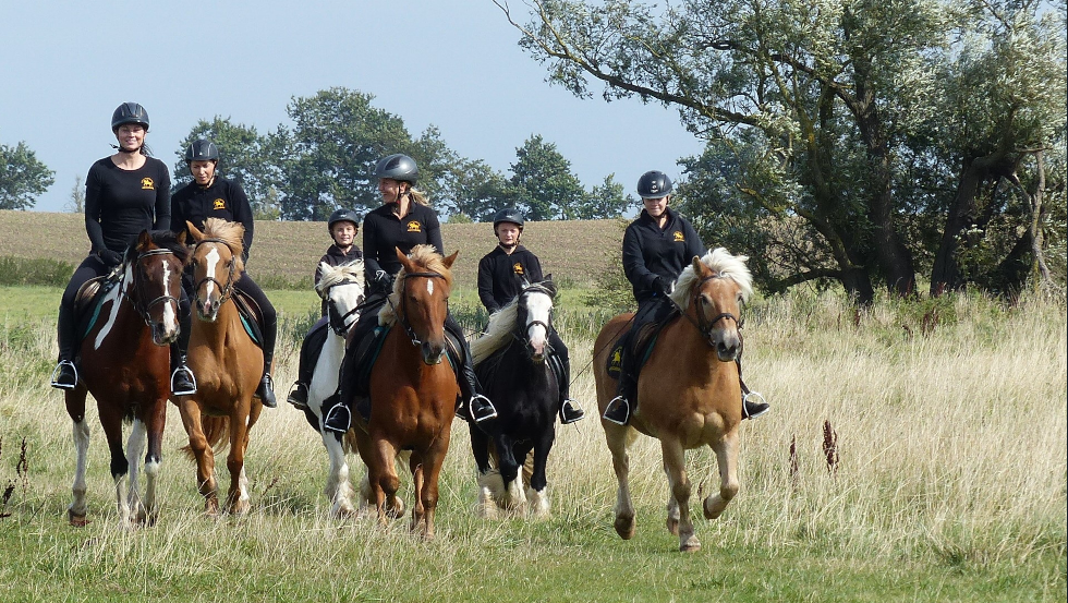 Horseback ride with the amber riders through the lagoon landscape of Barth, © Bernsteinreiter Barth