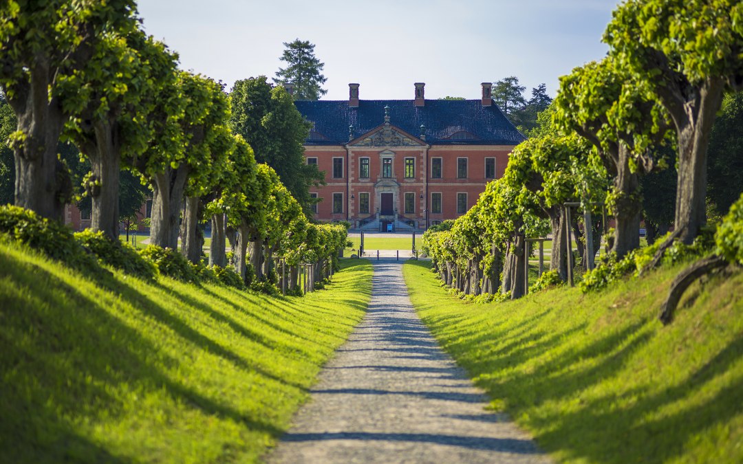 Festonallee naar kasteel Bothmer, © SSGK MV / Timm Allrich