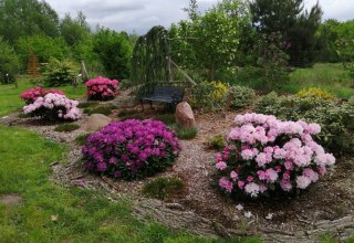 © Harry Baase © Harry Baase