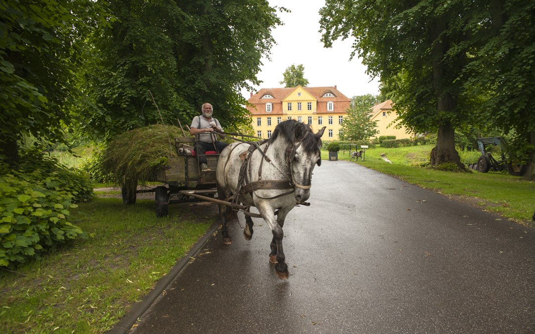 Horse carriage in front of Lühburg Castle, © Christin Drühl