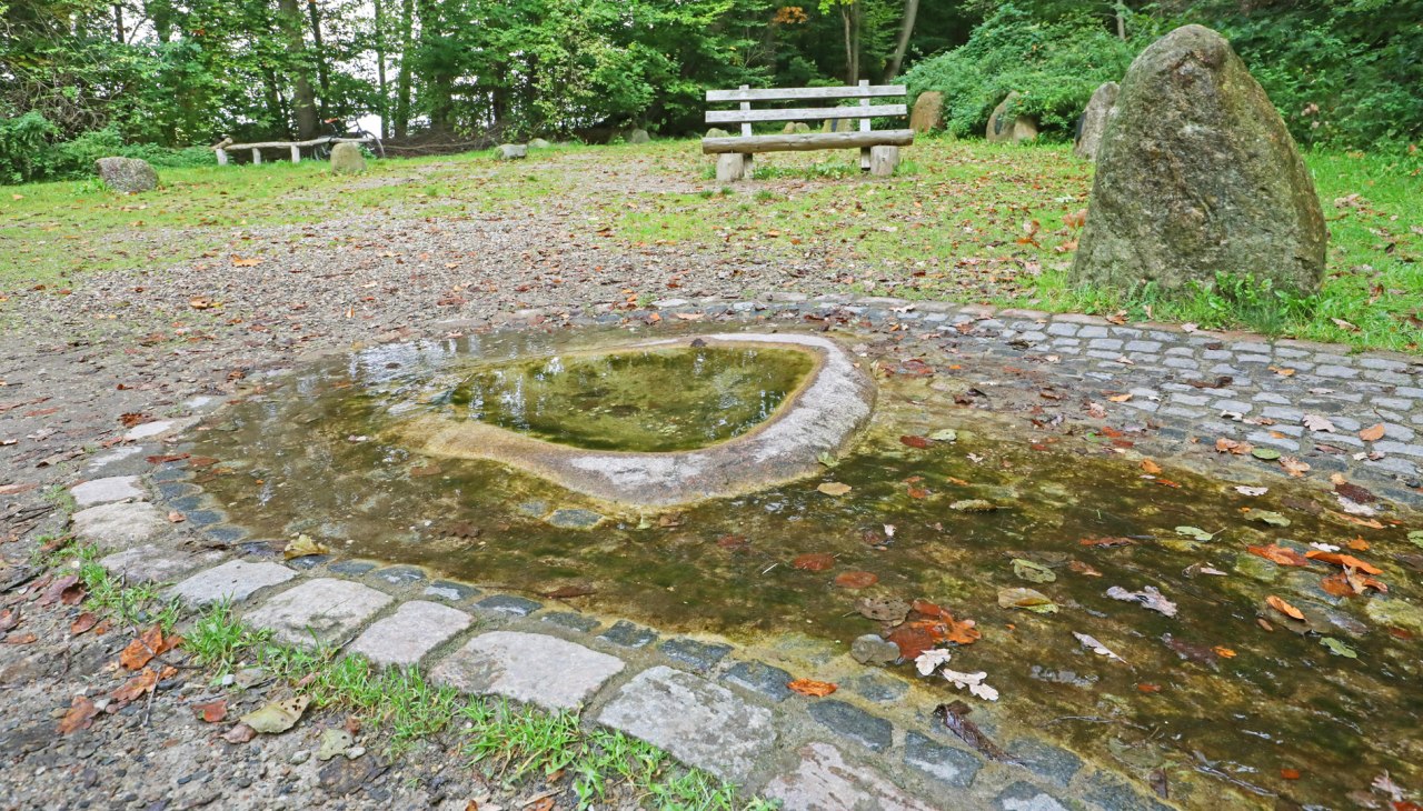 Havel spring_3, © TMV/Gohlke