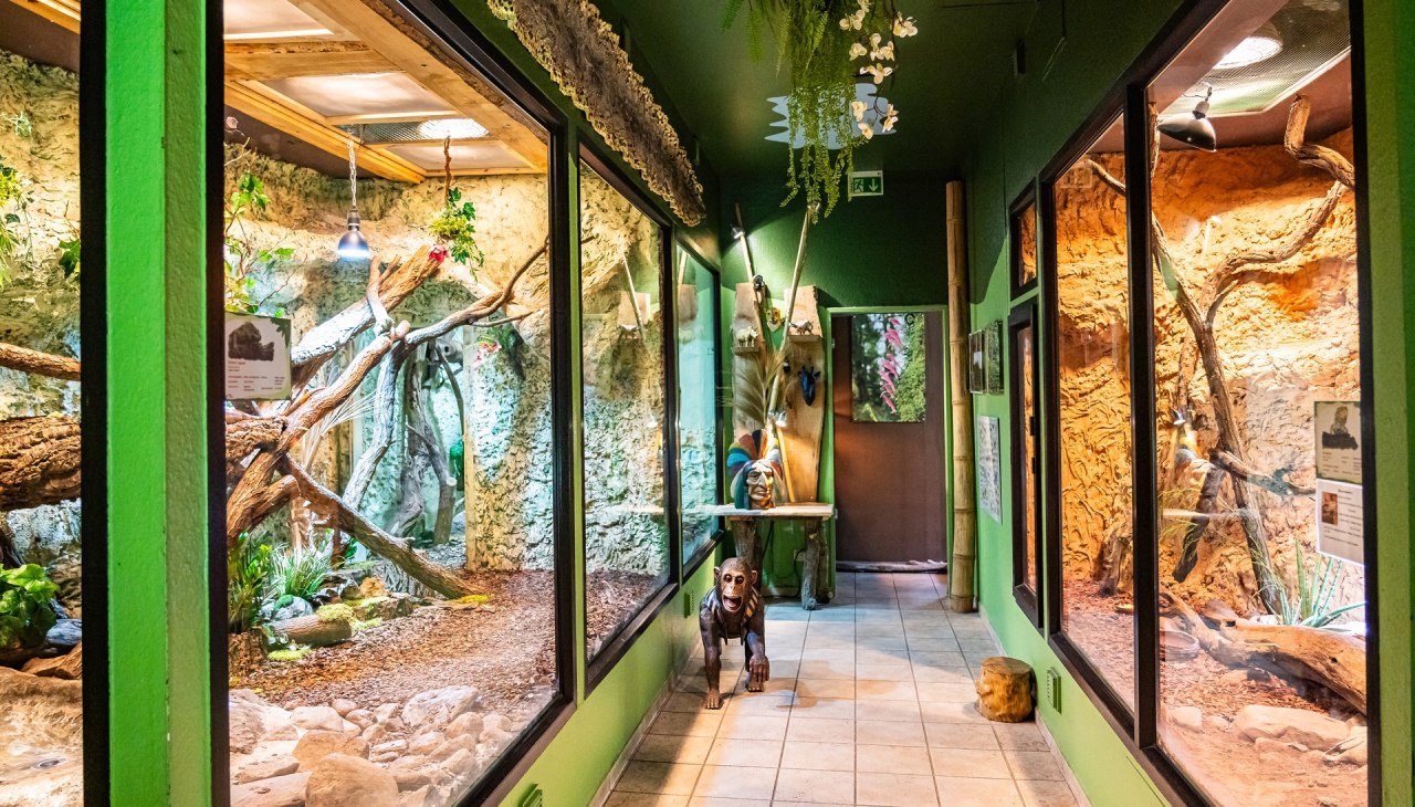 Tropikalne Zoo Bansin, © Tropenzoo_Bansin_Marcel_Piper Tropikalne Zoo Bansin, © Tropenzoo_Bansin_Marcel_Piper