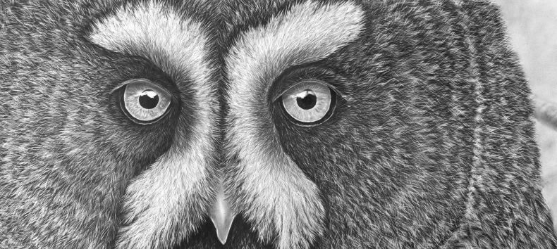 Pencil drawing by Ralf Wilhelm Schmidt // &copy; Ralf Wilhelm Schmidt/M&uuml;ritzeum