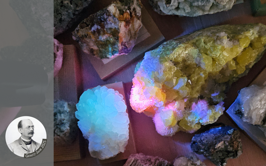 Stenen uit de geologische collectie van het Müritzeum verlicht met UV-licht, © Karin Franz/Müritzeum