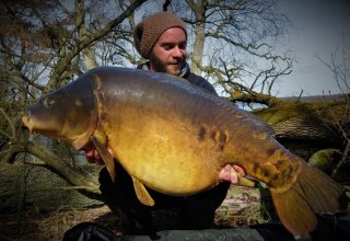 Traumhafter Spiegelkarpfen aus einem großen Natursee in Mecklenburg-Vorpommern // © Sebastian Schlötels Traumhafter Spiegelkarpfen aus einem großen Natursee in Mecklenburg-Vorpommern // © Sebastian Schlötels