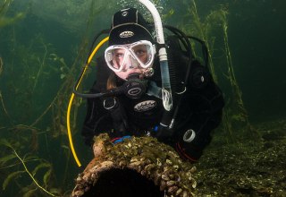 &copy; Tauchcenter Feldberg