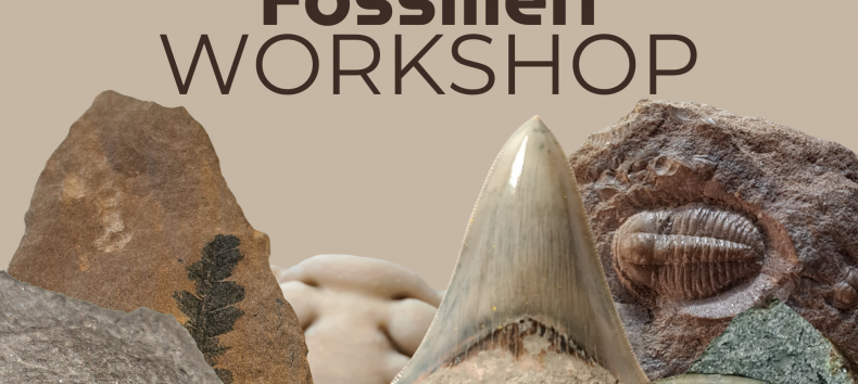 &copy; Ronald Klafack