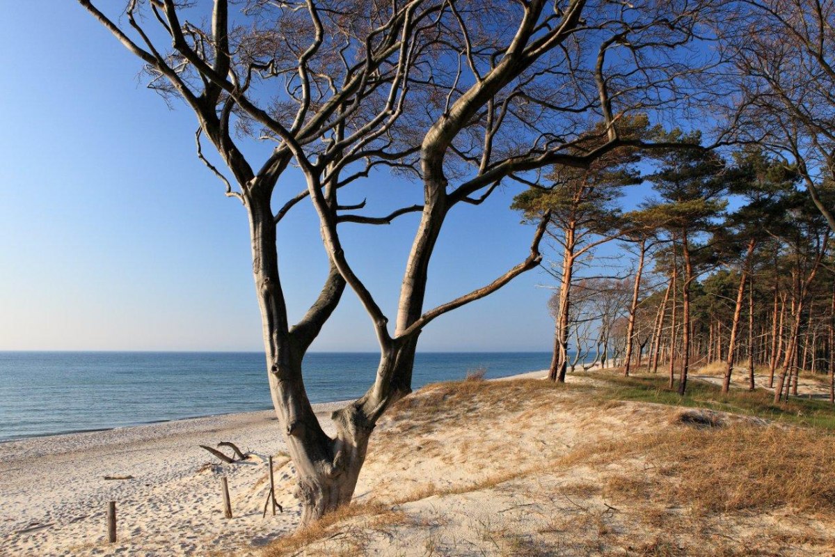 Zachodnia plaża, &copy; TV FDZ