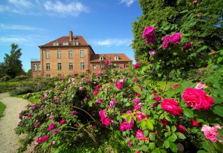 Gottin Rose Park met meer dan 2.000 rozen in meer dan 200 variëteiten // © Gutshaus Gottin Gottin Rose Park met meer dan 2.000 rozen in meer dan 200 variëteiten // © Gutshaus Gottin