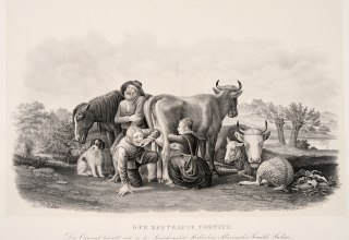 © Stiftung Mecklenburg, Inv.-Nr. 2025/19 © Stiftung Mecklenburg, Inv.-Nr. 2025/19