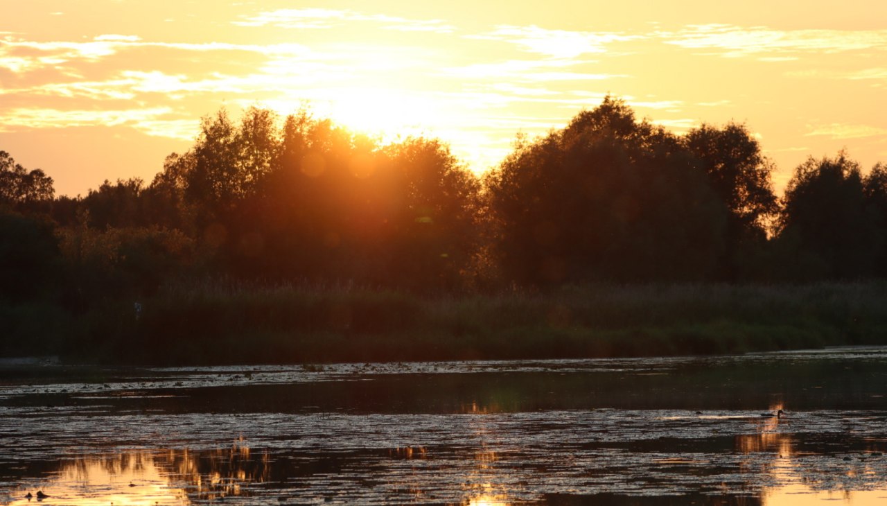 Zachód słońca na trasie bobrów, © Corina Posselt Zachód słońca na trasie bobrów, © Corina Posselt