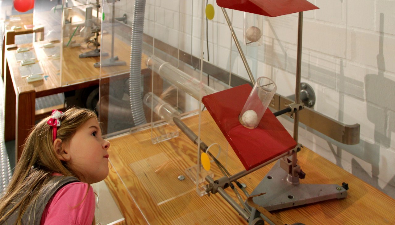 Na tropie tajemnic lotu, © Wittig Na tropie tajemnic lotu, © Wittig