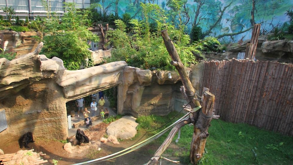 Sala tropikalna w DARWINEUM w zoo w Rostocku, © Zoo Rostock/Gohlke