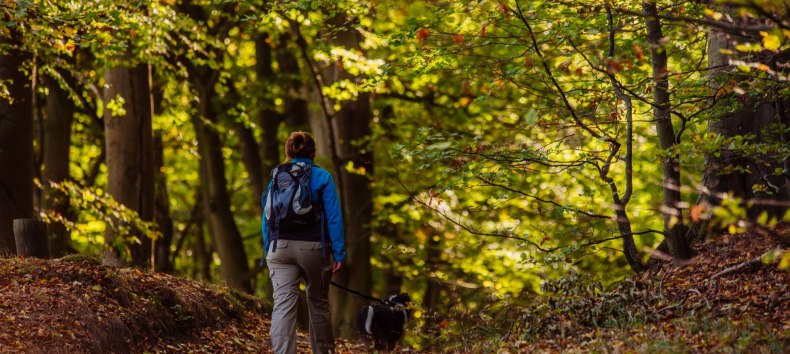 &copy; Binzer Bucht Tourismus
