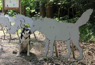 © Wildpark-MV © Wildpark-MV