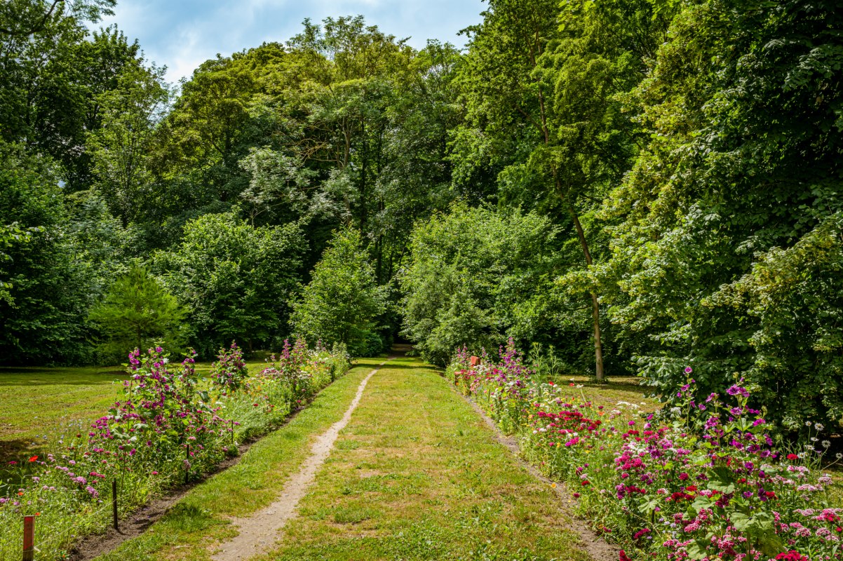 Uitzicht op de tuin van paleis Ludwigsburg // © MV-T/Tiemann Uitzicht op de tuin van paleis Ludwigsburg // © MV-T/Tiemann