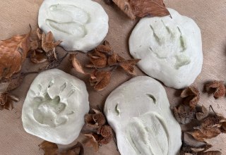 © Nationalpark-Zentrum KÖNIGSSTUHL © Nationalpark-Zentrum KÖNIGSSTUHL